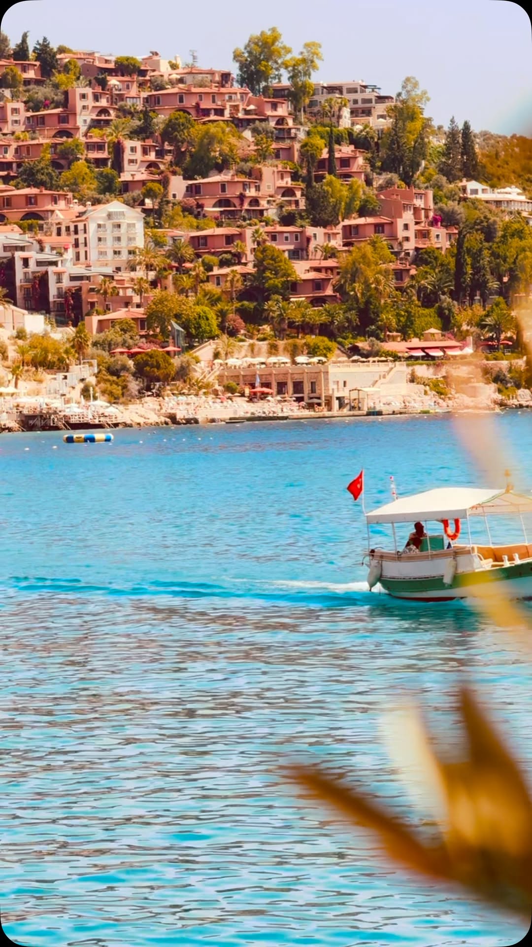 Video 4 from Zest Beach Club