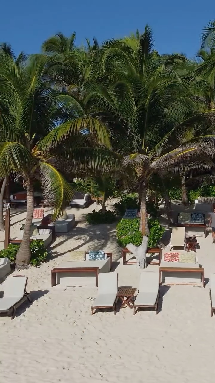 Video 5 from Ziggy’s Beach Club