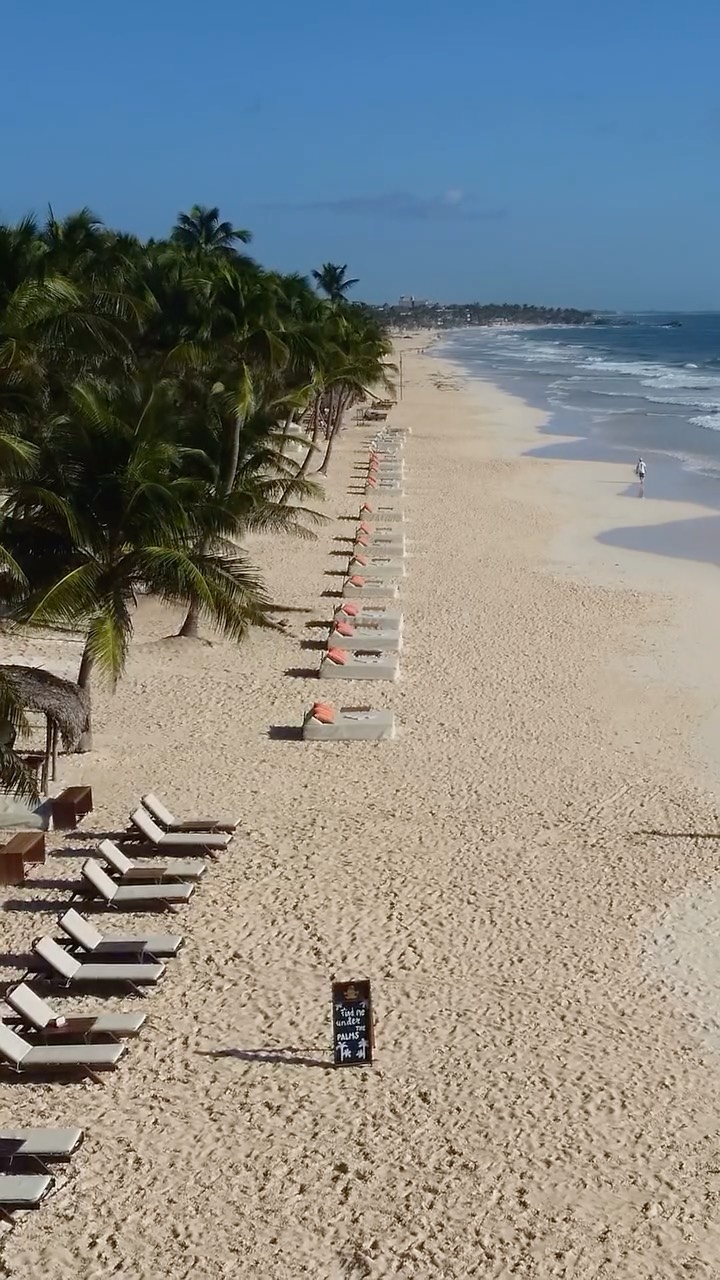 Video 8 from Ziggy’s Beach Club