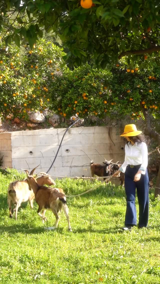 Video 3 from Zoe Hora