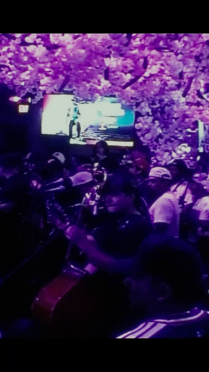 Video 2 from Zona Rosa