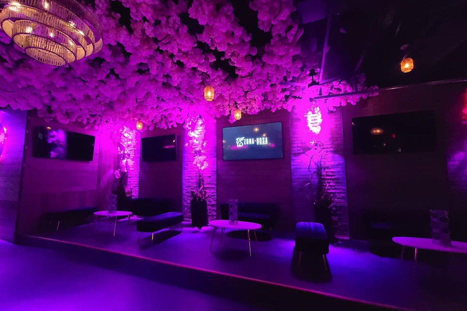 Zona Rosa, a night club in Charlotte, USA — photo 2