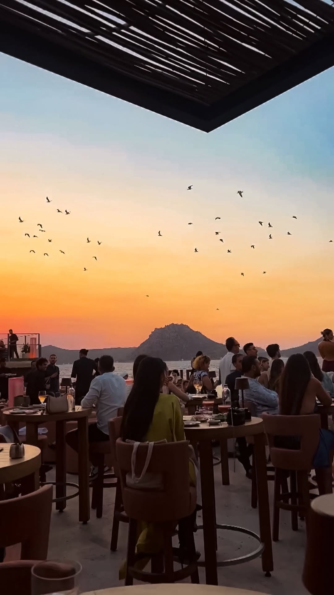 Video 6 from Zuma